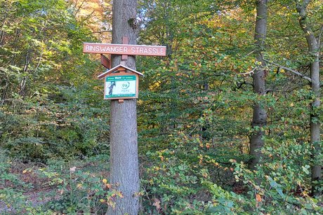 wandern
