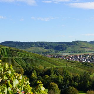 Obersulm, eingebettet in Weinberge