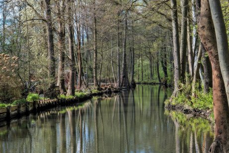 Blick auf die Spree