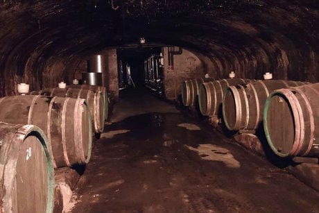 Weinfässer im unterirdischen Gewölbe