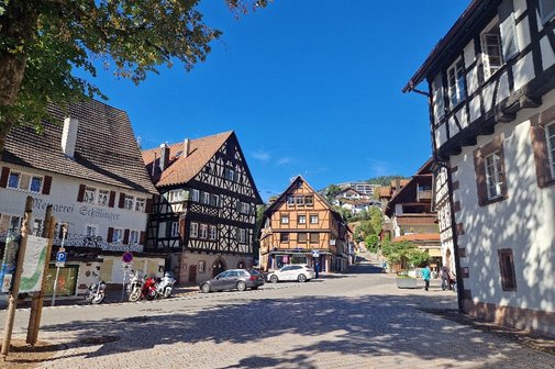 Das Foto zeigt Fachwerkh&auml;user in Alpirsbach