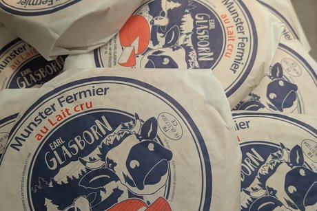 Elsass M&uuml;nsterk&auml;se