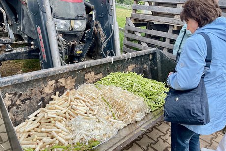 Die Abfälle werden verfüttert oder kompostiert