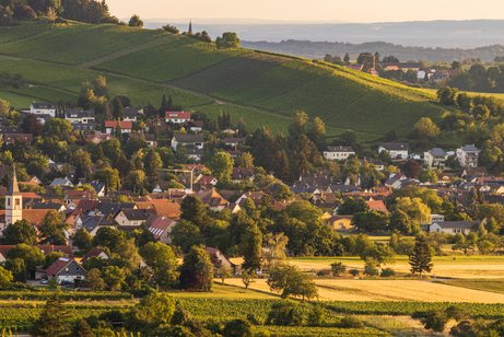 Landschaftsaufnahme, Kirche und ein Dorf im Sonnenuntergang im Vordergrund Weinreben zu sehen