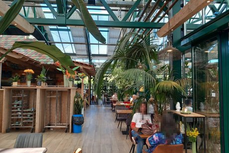 Kaffeebereich in einem gro&szlig;en Gew&auml;chshaus mit mehreren Holztischen und St&uuml;hlen, an denen teilweise G&auml;ste sitzen, dazwischen stehen mehrere Palmen in Pflanzk&uuml;beln.
