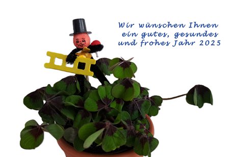 Das Bild zeigt einen Neujahrsglücksbringer