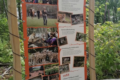 Wildtierpark in Bad Mergentheim