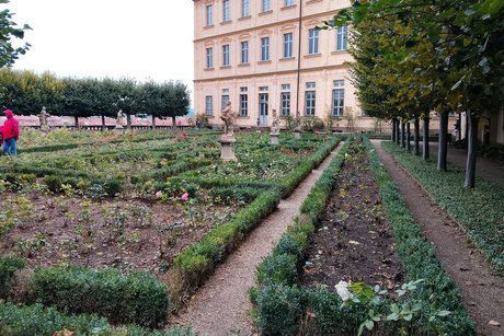 Bamberg - DOM Rosengarten