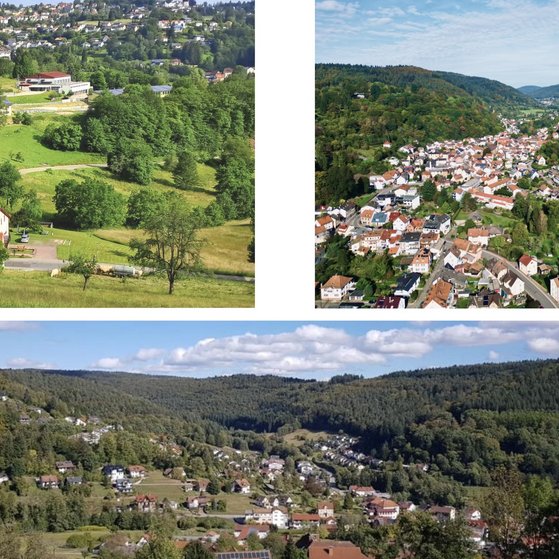 Aussicht &uuml;ber Wilhelmsfeld, Altneudorf-Sch&ouml;nau und Heiligkreuzsteinach