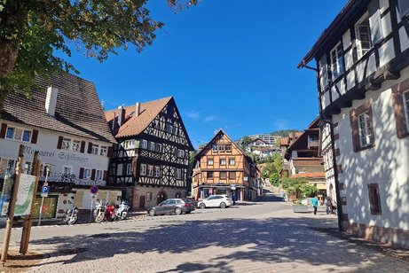 Das Foto zeigt Fachwerkh&auml;user in Alpirsbach