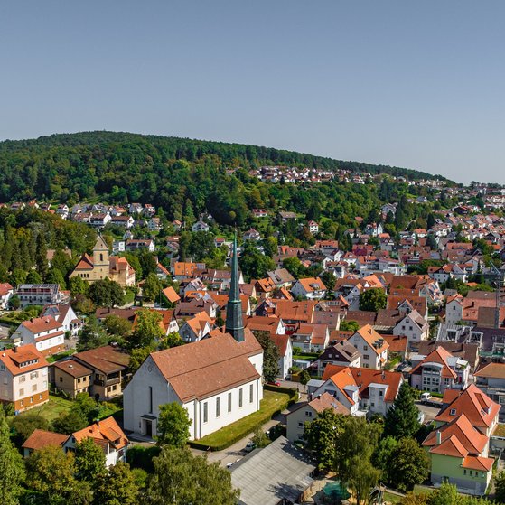 Panorama &uuml;ber die Stadt Reichenbach: In der Bildmitte eine Kirche, dahinter bewaldete H&uuml;gel unter einem klaren blauen Himmel.