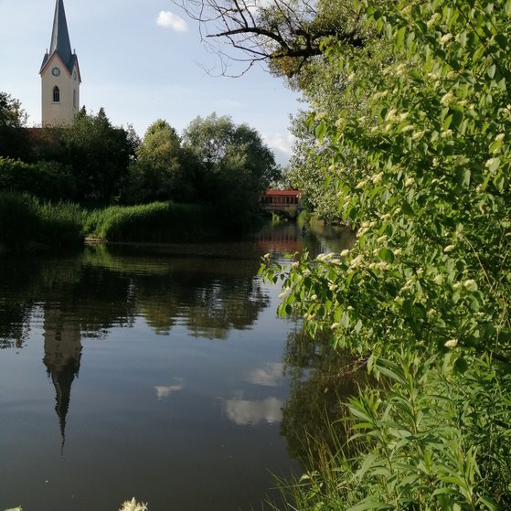 Schussen bei Eriskirch Unser Eriskirch