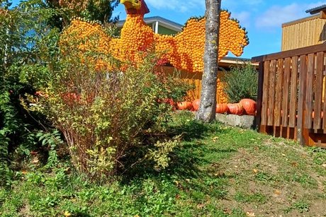 Im Vordergrund befinden sich viele Kürbisse auf dem Boden. Im Hintergrund ist eine Vogel-Statue aus Kürbissen