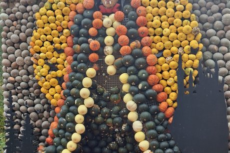 Dracula aus K&uuml;rbisse