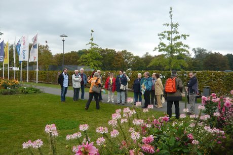 Erkl&auml;rungen entlang der Blumenbeete