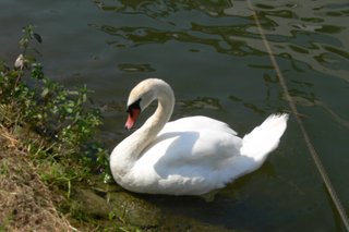 Ausflug Modemarkt Adler