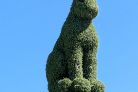 Europapark 13.5.25