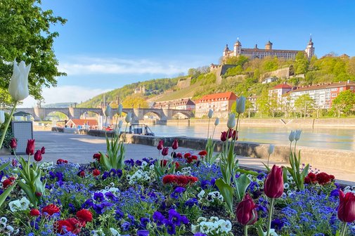 Das Bild zeig die alte Mainbr&uuml;cke von W&uuml;rzburg