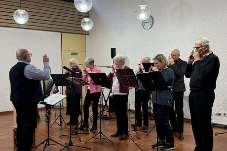 Die Mundharmonikafreunde