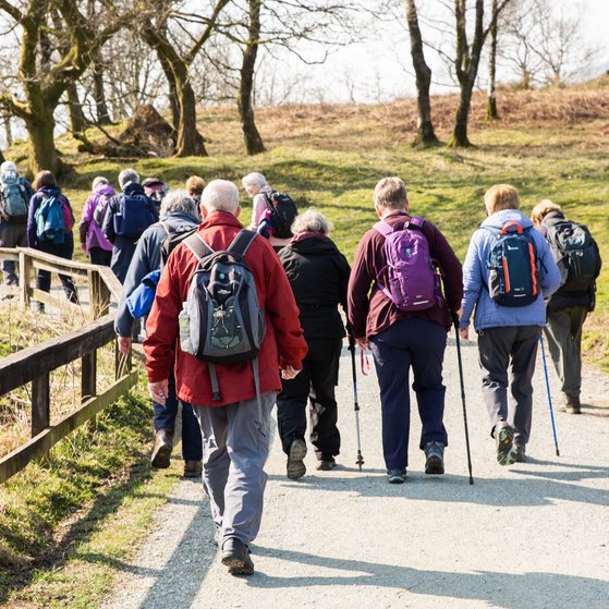 Eine Gruppe &auml;lterer Wanderer wandert in der Landschaft im Herbst.