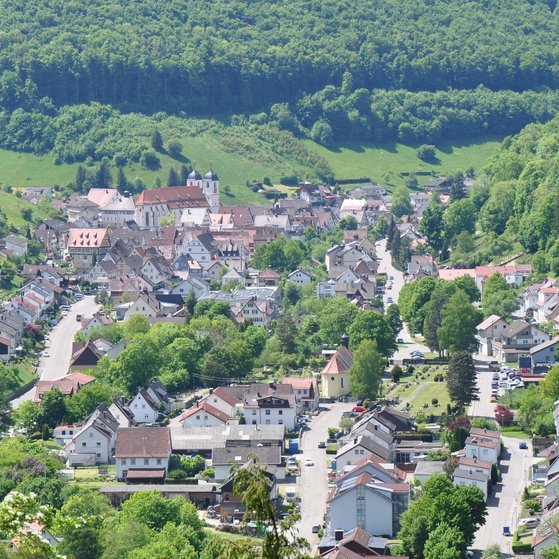 Wiesensteig vom Sterneckberg aus gesehen