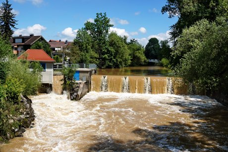 Die Obere Argen führt Hochwasser