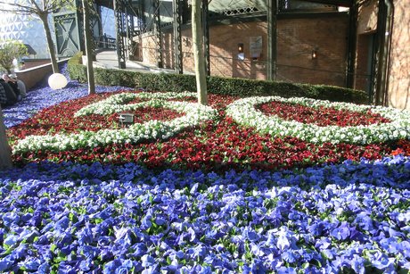 wunderschöne Blumenbeete