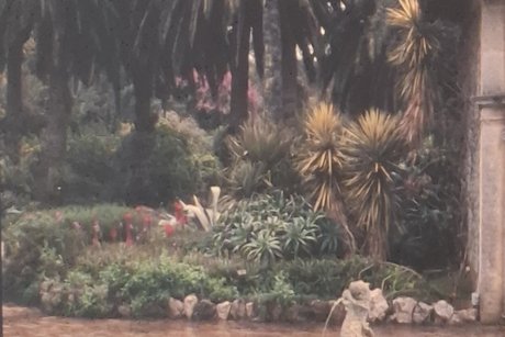 Gartenanlage, N&auml;he Monaco