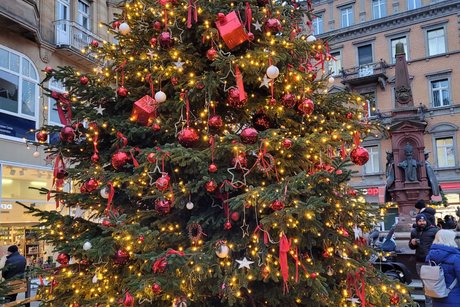 Weihnachtsbaum