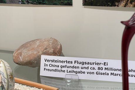80 Millionen Jahre altes Ei eines Flugsauriers
