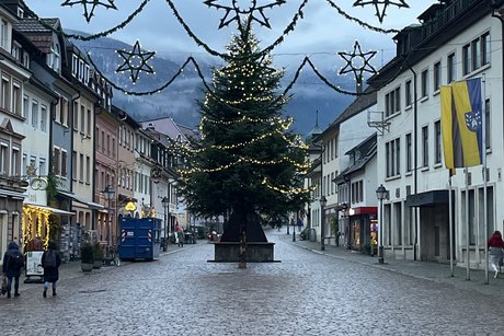 Weihnachtliche Stimmung auf dem Markt mit geschmückter Tanne