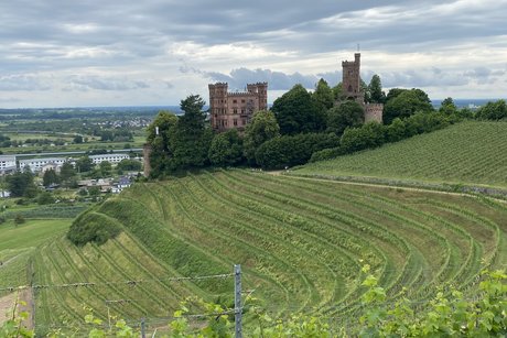 Schloss Ortenberg (heute Jugendherberge)