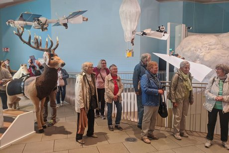 Gruppe älterer Menschen beim Rundgang durch ein Museum, links ein lebensgroßes Stoffrentier