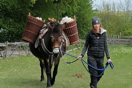 Wildtierpark in Bad Mergentheim