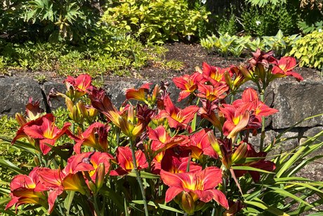 Ausflug Tübingen Botanischer Garten