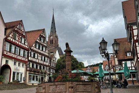 Calw