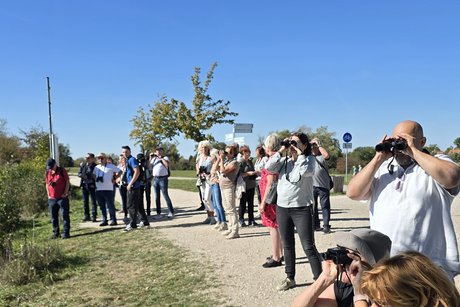 Fernblick Beobachtung mit dem Fernglas