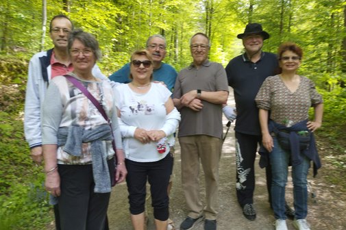 Sieben Spaziergänger im Plattenwald