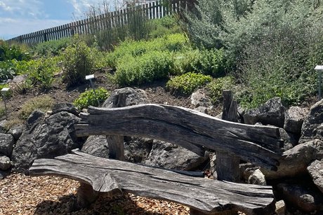 Kräutergarten Garten