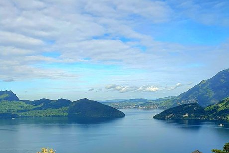 Blick von Seelisberg auf den von Wald und Bergen ums&auml;umter See.