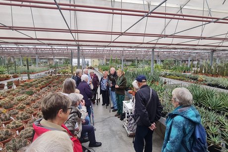 Kakteenland Steinfeld