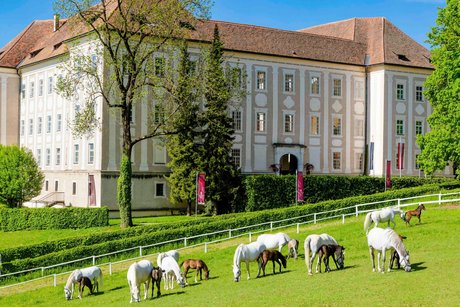 Lipizzanergestüt Piber