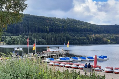 Anlegestelle am See mit einem größeren und vielen kleinen Booten. Im Hintergrund ist ein Wald zu sehen.