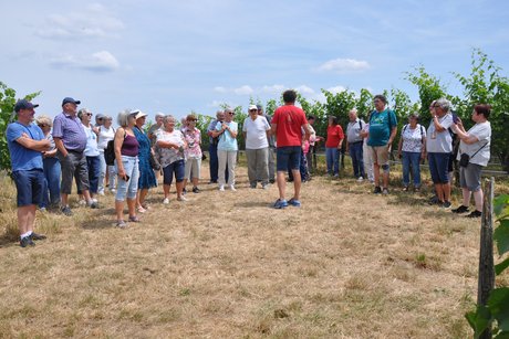 Beeren und Obsthof Pfleghaar