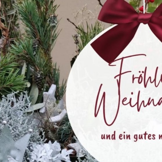 Pflanzen mit Schnee und Gru&szlig;