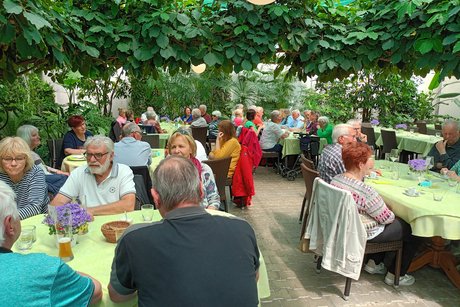 Mittagessen in gemütlichem Ambiente