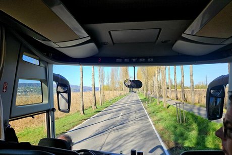 Wieder durch die Windschutzscheibe eine schmale Allee zur Insel Reichenau.