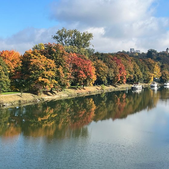 Herbststimmung am Neckar
