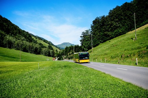 Fahrender Reisebus auf Stra&szlig;e in gr&uuml;ner Landschaft