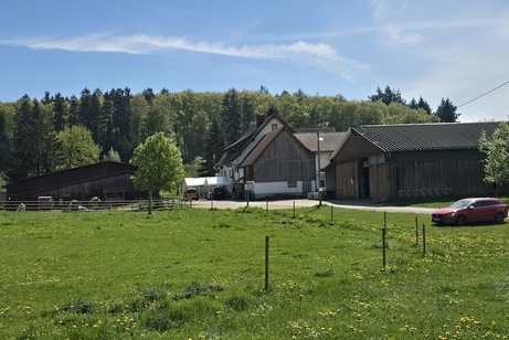 Bauernstube Litz in Freudental